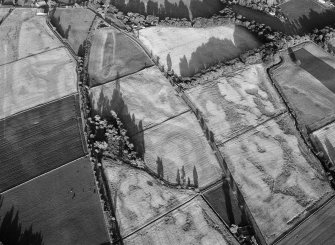 Oblique aerial view centred on the cropmarks of an enclosure, pit alignment and rig at Damside, looking to the ESE.