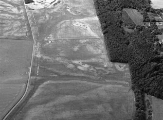 Oblique aerial view centred on the cropmarks of an unenclosed settlement, ring ditches, enclosures and pits at Craigston Castle, looking to the WNW.