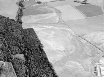 Oblique aerial view centred on the cropmarks of an unenclosed settlement, ring ditches, enclosures and pits at Craigston Castle, looking to the ESE.