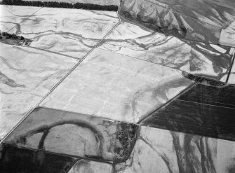 General oblique aerial view centred on the cropmarks of the unenclosed settlement, ring ditches, souterrains, field boundaries and rig at Westside, looking to the NE.