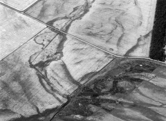 Oblique aerial view centred on the cropmarks of the unenclosed settlement, ring ditches, souterrains, field boundaries and rig at Westside, looking to the NW.