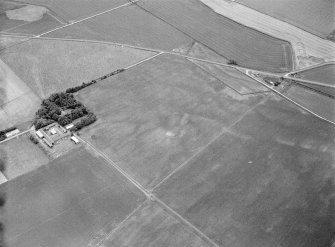 Oblique aerial view centred on the cropmarks of ring ditches at Mid Ardlaw, looking to the SE.