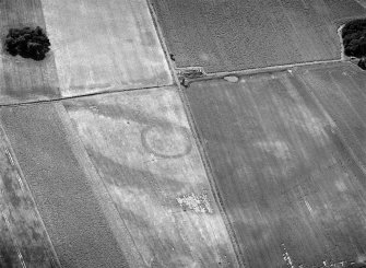 Oblique aerial view centred on the cropmarks of an enclosure and possible soutterain at Battledykes, looking to the S.