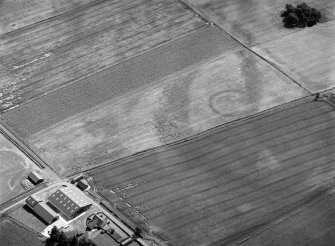 Oblique aerial view centred on the cropmarks of an enclosure and possible soutterain at Battledykes, looking to the SE.