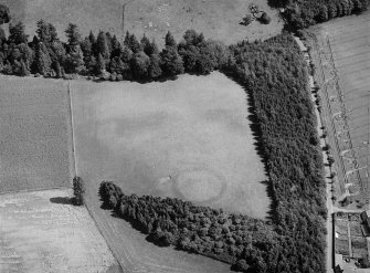 Oblique aerial view centred on the cropmarks of an enclosure and pits at Balhary, looking to the NE.