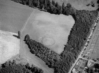 Oblique aerial view centred on the cropmarks of an enclosure and pits at Balhary, looking to the NNE.