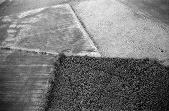 Oblique aerial view centred on the cropmarks of the Roman Temporary Camp at Normandykes, looking to the ENE.