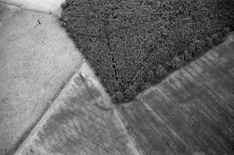 Oblique aerial view centred on the cropmarks of the Roman Temporary Camp at Normandykes, looking to the SSW.