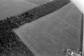 Oblique aerial view centred on the cropmarks of an enclosure at Garble Croft, looking to the ESE.