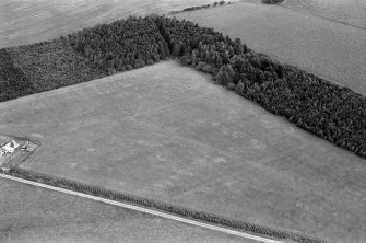 Oblique aerial view centred on the cropmarks of an enclosure at Garble Croft, looking to the NE.