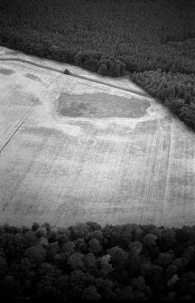 Oblique aerial view centred on the cropmarks of the ring ditch and possible henge at Berryley, looking to the WNW.