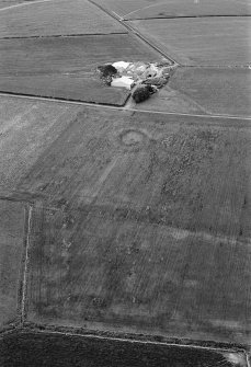 Oblique aerial view centred on the cropmarks of a circular enclosure at Shannas, looking to the SSE.