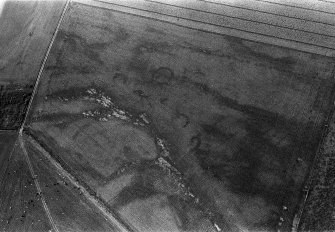 Oblique aerial view centred on the cropmarks of the unenclosed settlement, ring ditches, souterrains and rig at Westside, looking to the NW.