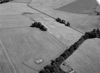 Oblique aerial view centred on the cropmarks of the henge and pits at Kintocher, looking to the ESE.