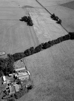 Oblique aerial view centred on the cropmarks of the henge and pits at Kintocher with the farmstead adjacent, looking to the SE.