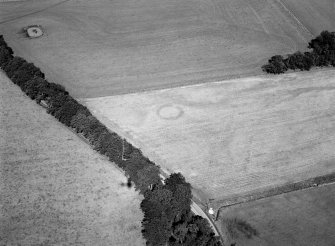 Oblique aerial view centred on the cropmarks of the henge and pits at Kintocher, looking to the NE.