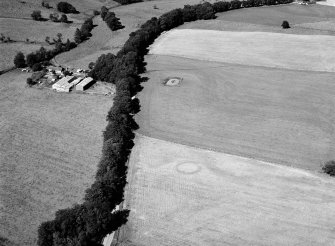 Oblique aerial view centred on the cropmarks of the henge and pits at Kintocher with the farmstead adjacent, looking to the N.