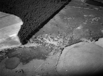 Oblique aerial view centred on the remains of hut circles at Camore and Sydera Wood, looking to the WNW.