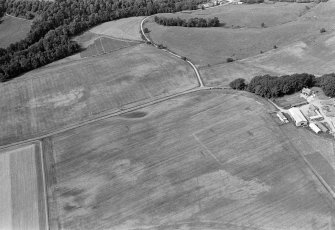 Oblique aerial view centred on the cropmarks of possible enclosures, pits and rig at Kinalty with the farmstead adjacent, looking to the WNW.