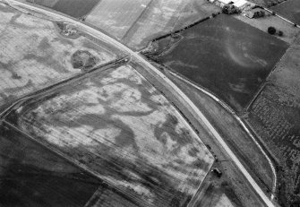 Oblique aerial view centred on the cropmarks of the pit defined cursus and linear features at Purlieknowe, looking to the NE.