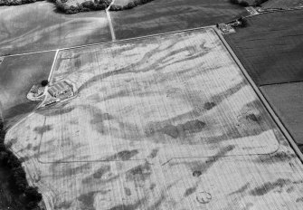 Oblique aerial view centred on the cropmarks of the Roman Temporary Camp, unenclosed settlement, ring ditches and pits at Stracathro, looking to the SE.