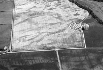 Oblique aerial view centred on the cropmarks of the Roman Temporary Camp and Fort at Stracathro, looking to the NW.