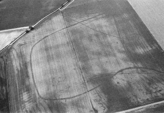 Oblique aerial view centred on the cropmarks of the enclosed settlement, ditch defined cursus, enclosure, ring ditches, barrows, pits and rig at Powis and Old Montrose, looking to the NW.