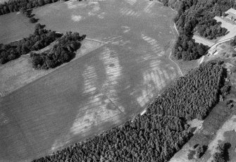 Oblique aerial view centred on the cropmarks of the unenclosed settlement, roundhouses, souterrains, pits and rig at Kinnaird Castle, looking to the NNE.