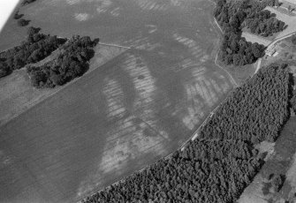 Oblique aerial view centred on the cropmarks of the unenclosed settlement, roundhouses, souterrains, pits and rig at Kinnaird Castle, looking to the NNE.