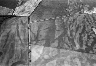 Oblique aerial view of the cropmarks of the pit defined cursus, enclosed cremation cemetery, rectilinear enclosure, ring ditch and rig at Balneaves, looking to the W.