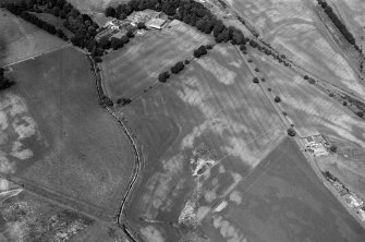 Oblique aerial view centred on the cropmarks of the unenclosed settlement, ring ditches, souterrain, pits and rig at Pitmuies, looking to the NW.