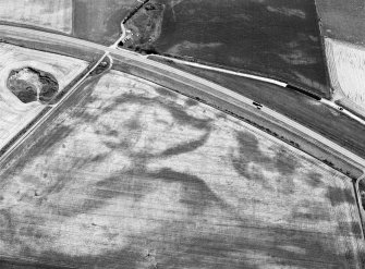 Oblique aerial view centred on the cropmarks of the pit defined cursus and linear features at Purlieknowe, looking to the ENE.