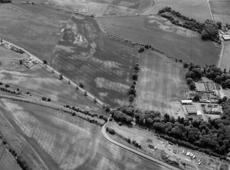 Oblique aerial view centred on the cropmarks of the unenclosed settlement, ring ditches, souterrain, pits and rig at Pitmuies, looking to the SSE.
