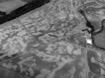 Oblique aerial view centred on the cropmarks of the unenclosed settlement, roundhouses, rig and pits at Chapelton and Boysack, looking to the NW.