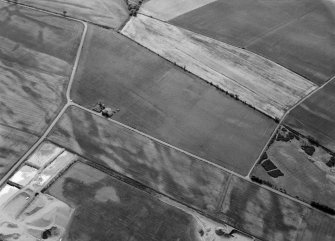 Oblique aerial view centred on the cropmarks of the pit defined cursus, enclosed cremation cemetery, ring ditch and rig at Balneaves, looking to the SE.