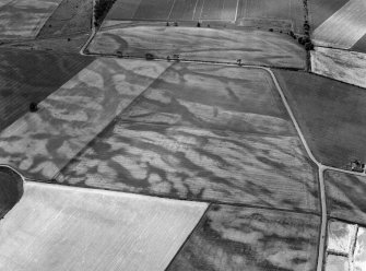 Oblique aerial view of the cropmarks of the pit defined cursus, enclosed cremation cemetery, rectilinear enclosure, ring ditch and rig at Balneaves, looking to the SSE.