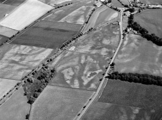 Oblique aerial view centred on the cropmarks of the unenclosed settlement, enclosure, ring ditches, pits and rig at Damside and Pitmuies, looking to the ESE.
