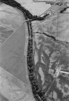 Oblique aerial view centred on the cropmarks of the round barrows, unenclosed settlement, souterrains, pits and rig at Auchenreoch, looking to the SE.