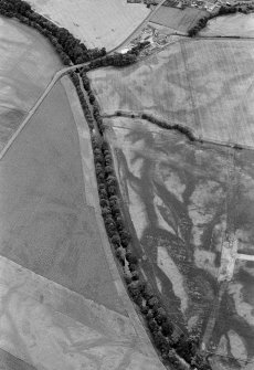 Oblique aerial view centred on the cropmarks of the round barrows, unenclosed settlement, souterrains, pits and rig at Auchenreoch, looking to the SE.