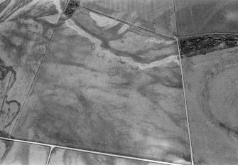 Oblique aerial view centred on the cropmarks of the unenclosed settlement, ring ditches, souterrains and rig at Westside, looking to the SE.