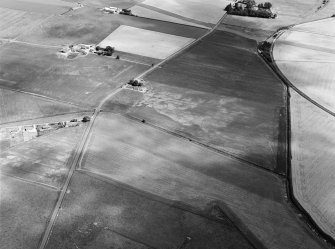 Oblique aerial view centred on the cropmarks of the frost wedge polygons with the farmhouse adjacent at Fingask, looking to the ENE.