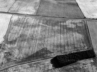 Oblique aerial view centred on the cropmarks of the ring ditches at Boynds, looking to the SSW.