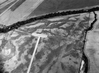 Oblique aerial view centred on the cropmarks of the round barrows, unenclosed settlement, souterrains, pits and rig at Auchenreoch, looking to the ENE.