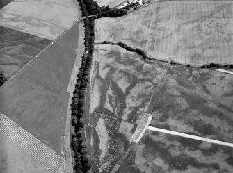 Oblique aerial view centred on the cropmarks of the round barrows, unenclosed settlement, souterrains, pits and rig at Auchenreoch, looking to the  SE.