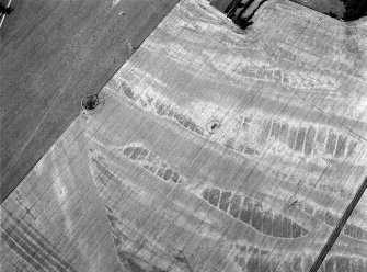 Oblique aerial view centred on the cropmarks of the rig, possible ring ditch and souterrain with the mound of Montgomery's Knap adjacent, looking to the WNW.