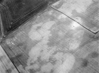 Oblique aerial view centred on the cropmarks of the unenclosed settlement, ring ditch, souterrains and pits at Burnhead of Monboddo, looking to the NE.