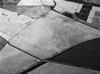 Oblique aerial view centred on the cropmarks of the enclosed settlement, ring ditches, rig, pits and enclosures at Ironshill, looking to the SE.