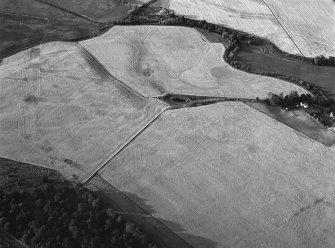 Oblique aerial view centred on the cropmarks of the unenclosed settlement, ring ditches, souterrains, enclosures, pits and rig at Boysack, looking to the N.