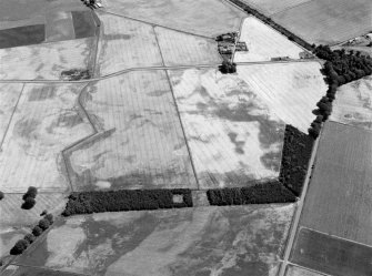 Oblique aerial view of the cropmarks of the pits, ring ditches and rig at Chapelton, looking to the ENE.