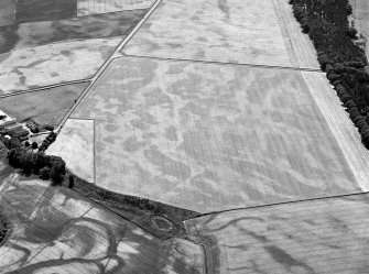 Oblique aerial view of the cropmarks of the enclosure, timber hall, unenclosed settlement and pits at Boysack, looking to the SSE.